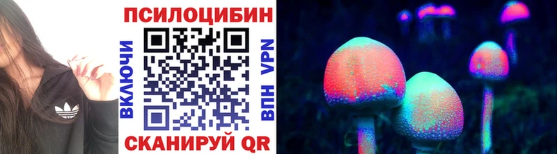Галлюциногенные грибы мицелий Болхов